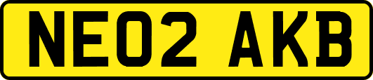 NE02AKB
