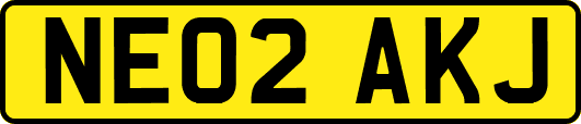 NE02AKJ