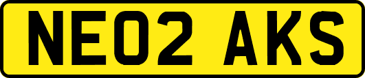 NE02AKS