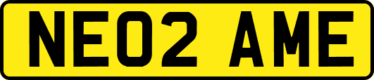 NE02AME