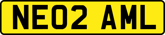NE02AML
