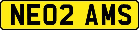NE02AMS