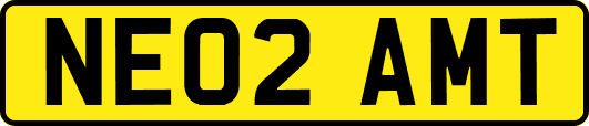 NE02AMT