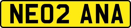 NE02ANA