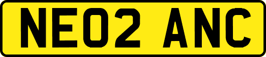 NE02ANC