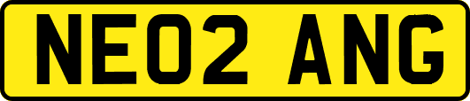 NE02ANG