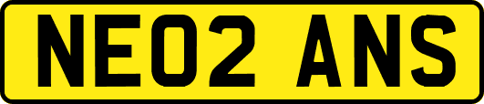 NE02ANS