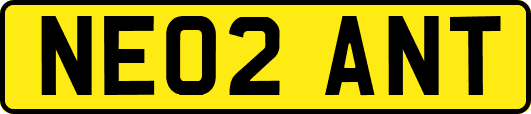 NE02ANT