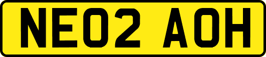 NE02AOH