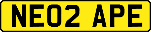 NE02APE