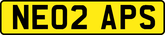 NE02APS