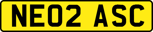 NE02ASC