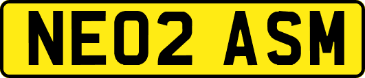 NE02ASM
