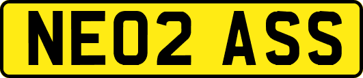 NE02ASS