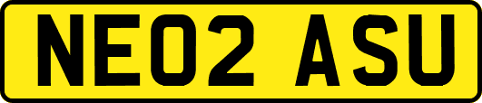NE02ASU