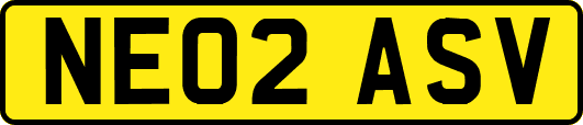 NE02ASV