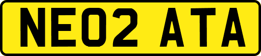 NE02ATA