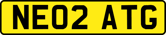 NE02ATG