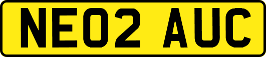 NE02AUC