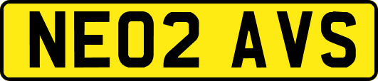 NE02AVS