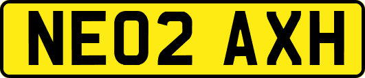 NE02AXH