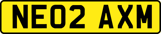 NE02AXM