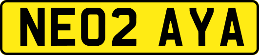 NE02AYA