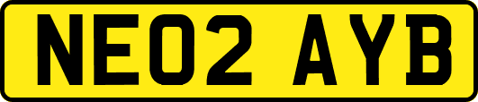 NE02AYB