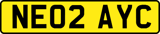 NE02AYC