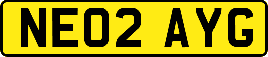 NE02AYG