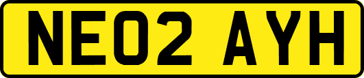NE02AYH