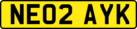 NE02AYK