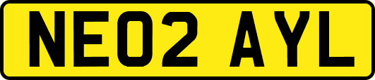 NE02AYL