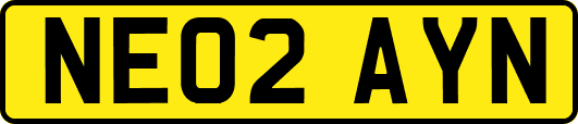 NE02AYN