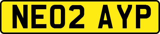 NE02AYP