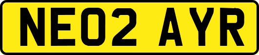 NE02AYR
