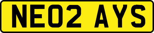 NE02AYS