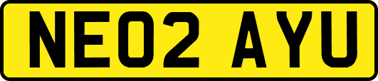 NE02AYU