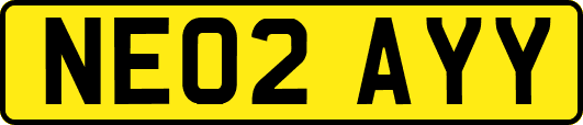 NE02AYY