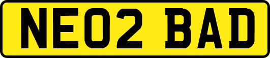 NE02BAD