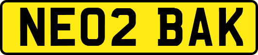 NE02BAK