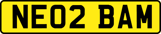 NE02BAM