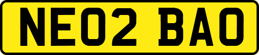 NE02BAO