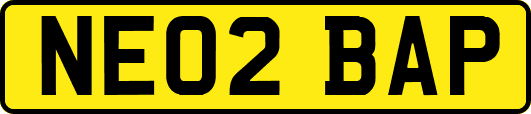 NE02BAP