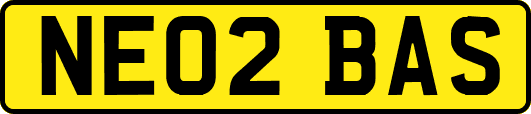 NE02BAS