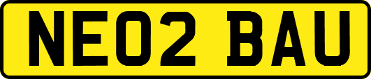 NE02BAU