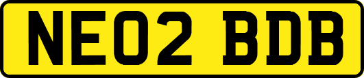 NE02BDB
