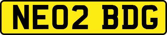 NE02BDG
