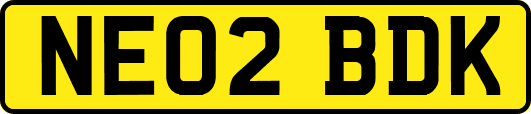 NE02BDK