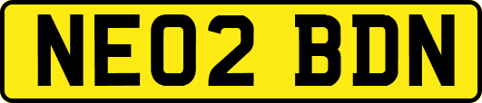 NE02BDN